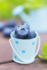 Fresh ripe blueberries outdoors