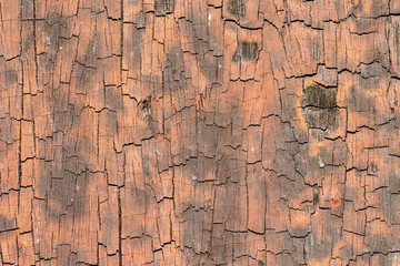 wood texture. background old panels