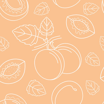 Seamless pattern with branch and fruit of apricot