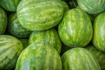 Large Organic Watermelon