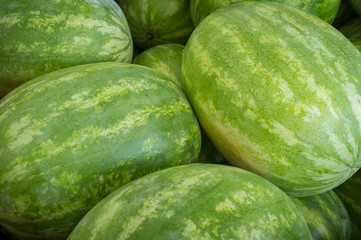 Large Organic Watermelon