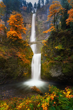 Fototapeta Multnomah Falls w jesiennych kolorach
