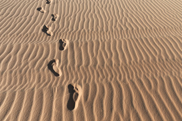 Footprints on a sand dunes desert