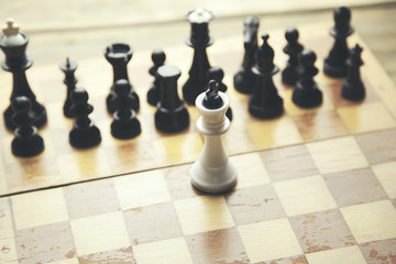 chess pieces on the board