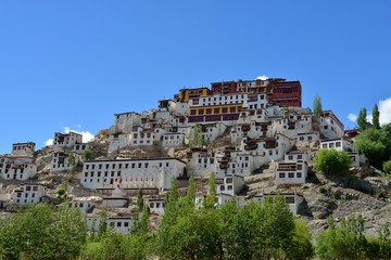 Fototapeta na wymiar Blick auf Thiksey Kloster in Ladakh, Indien