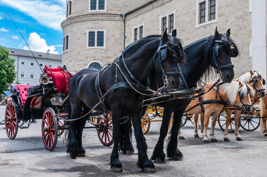 Fiaker auf dem Residenzplatz in Salzburg; &Ouml;sterreich