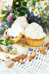 Cupcakes with blueberries and white cream