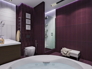3d render interior design of a bathroom