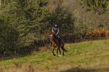 Elegant attractive woman riding a horse meadow