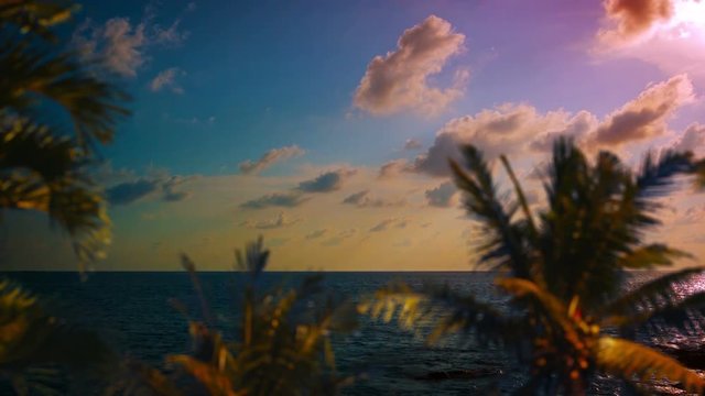 Late afternoon sunshine filters through soft, puffy clouds over a tropical horizon, in shades of pink and lavender against a bright blue sky, with palm trees out of focus in the foreground. Video 4k