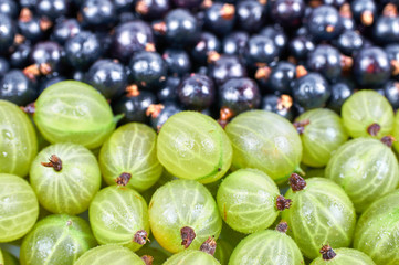 A pile of fresh fruits. Fruit background