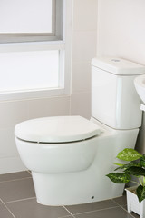 Naklejka na ściany i meble white toilet in modern home, white toilet bowl in cleaning room, flushing liquid in toilet, private toilet in modern room, interior equipment and modern restroom, cleaning toilet.