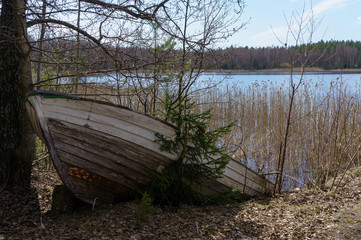 Abandoned boat on the lake