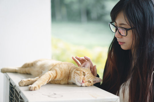 Asian girl playing with cat