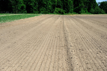 plowed spring farm field