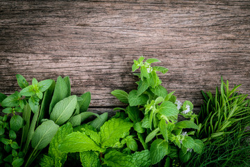 Various aromatic herbs and spices from garden  green mint ,fenne © kerdkanno