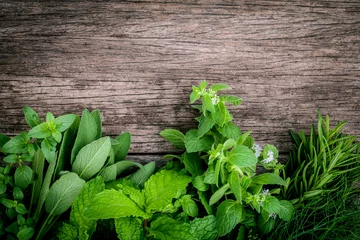 Crédence de cuisine en verre imprimé Herbes Diverses herbes aromatiques et épices de la menthe verte du jardin, fenne