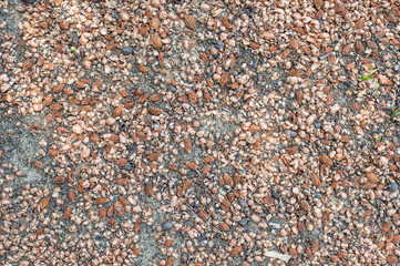 Brick surface