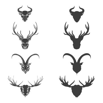 Animals head silhouette monochromic deer elk goat and bull. Vector illustration