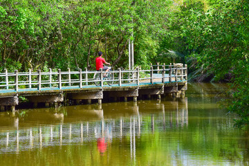 a man is biking on the bike path besides the canal at Bang Kachao Park