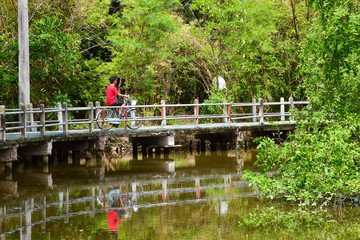 a man is biking on the bike path besides the canal at Bang Kachao Park