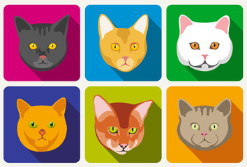 Cat portraits vector collection. Set of head cat and muzzle of cats with eyes and whisker illustration
