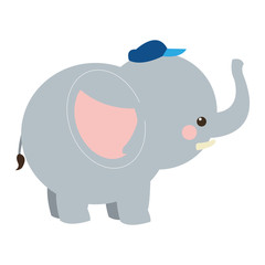 cute elephant cartoon with hat icon