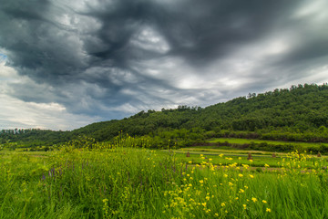 Rural scenery with dramatic cloudscape, rain clouds and storm in a natural  field area, in summer