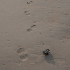 Wave of the sea on the sand beach