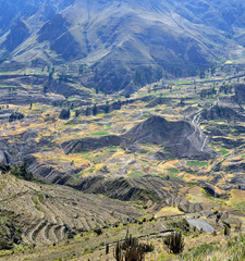 Fototapeta na wymiar Sacred Valley with the cultivated farmer fields