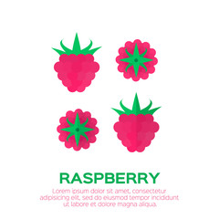 Ripe raspberry icon. Berries on white background. Summer set of raspberry vector illustration