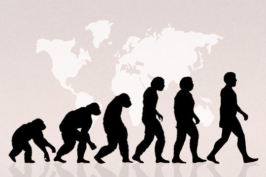 evolution of the species