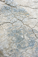 Rock texture background