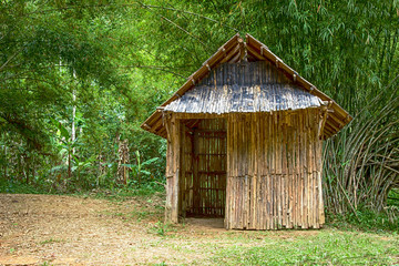 Bamboo hut in the forest