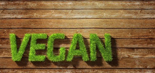 Vegan made of grass on wood background