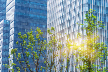 Fototapeta na wymiar green trees front of modern glass office building
