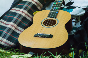 guitar, grass, picnic