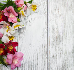 alstroemeria flowers on a table