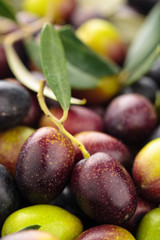 Fresh olives background.