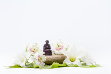 the granadilla flower and Buddha