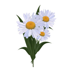 realistic vector bouquet of daisies