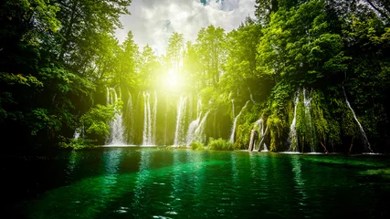 Foto op Plexiglas watervallen in het bos © UMB-O