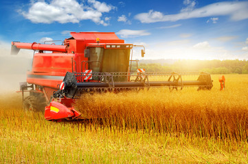 Combine working in field