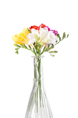 vibrant freesias bouquet isolated on white background