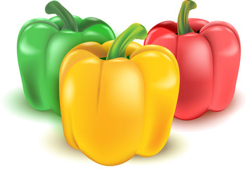 tree pepper have green  red and yellow, Yellow pepper vegetable design. nature icon with shadow, peper collection vector, pepper icon