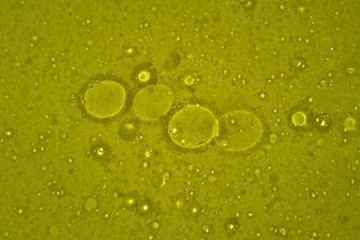 Cooking Oil Droplets in Colorful Water