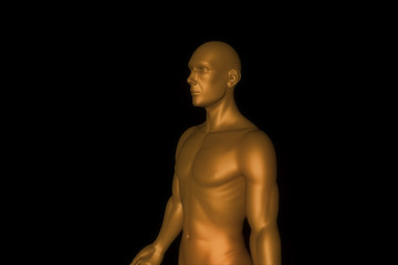 Male Human 3D Wireframe Hologram in Motion. Nice 3D Rendering
