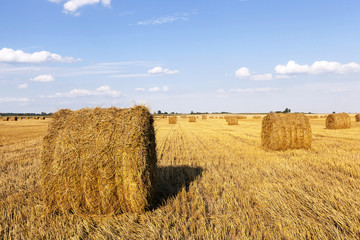 Fototapeta premium Stack of straw