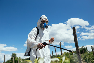 Man spraying toxic pesticides or insecticides on fruit growing plantation. Natural light on hard sunny day. Blue sky with clouds in background.