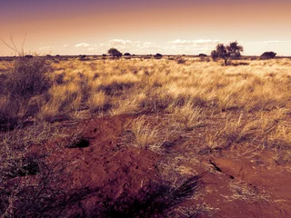 Fototapete Rund Kalahari Landscape © winterbilder